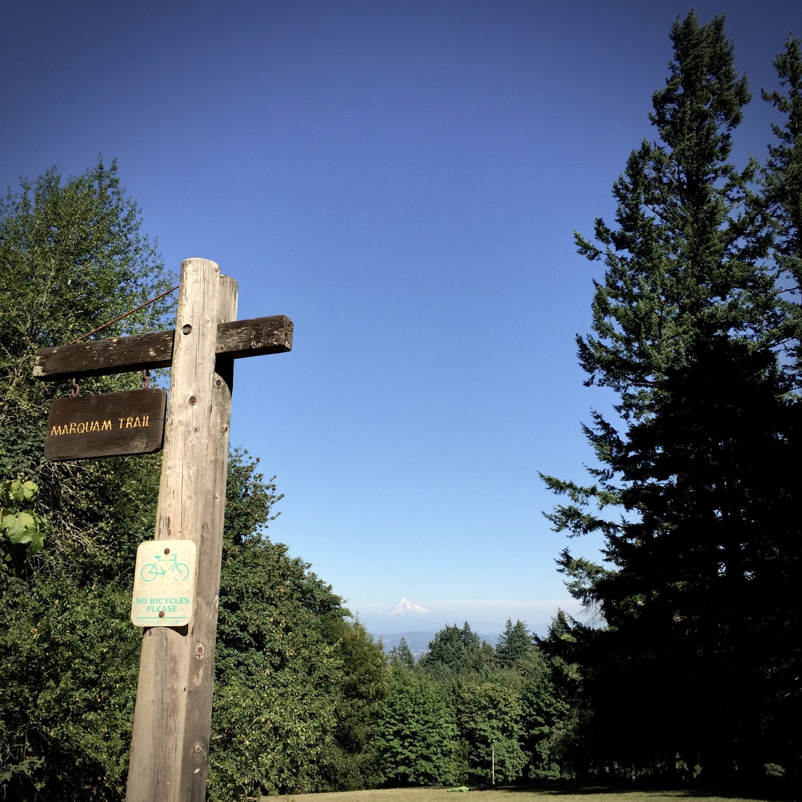 View from Council Crest toward Mt. Hood, which is visible