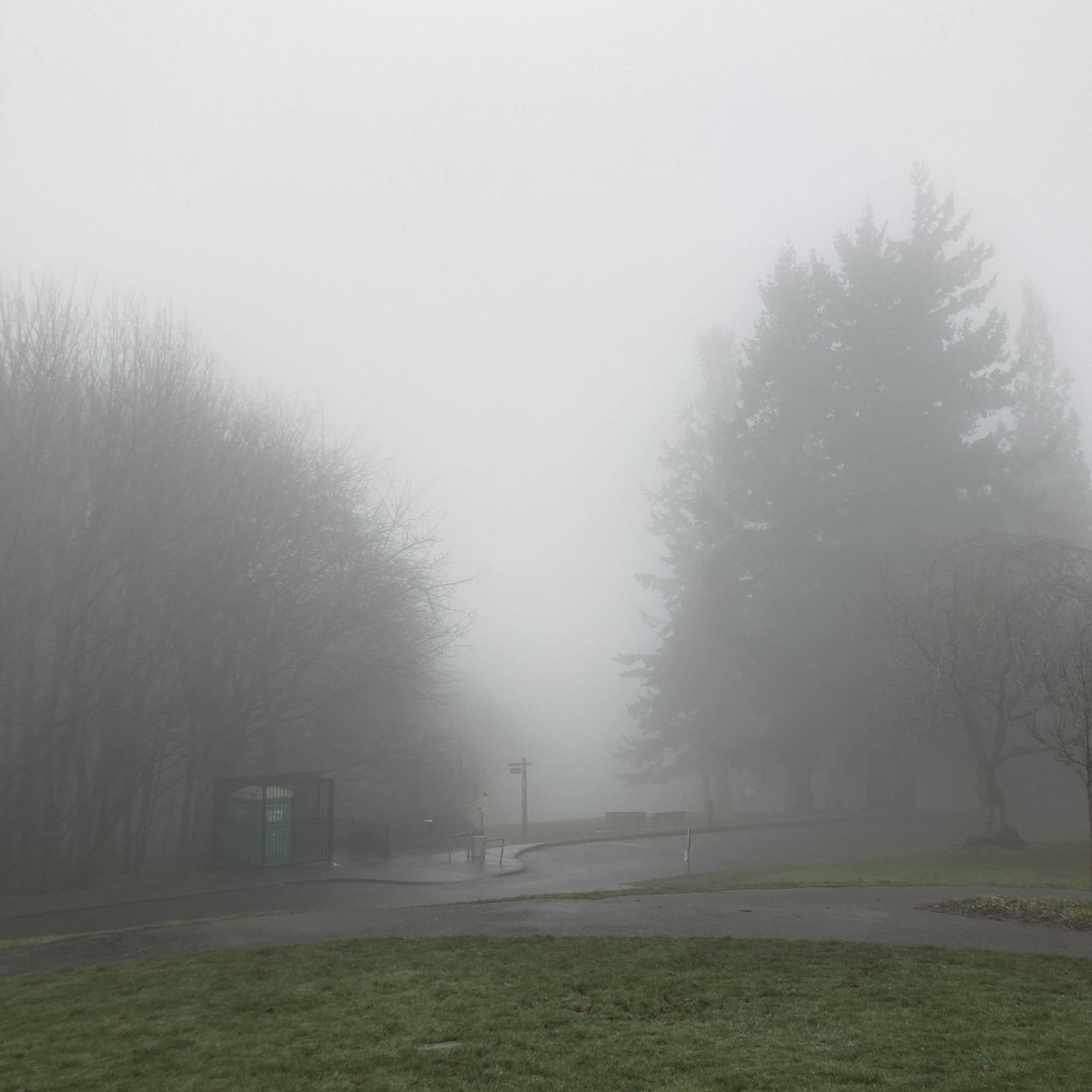 View from Council Crest toward Mt. Hood, which is NOT visible