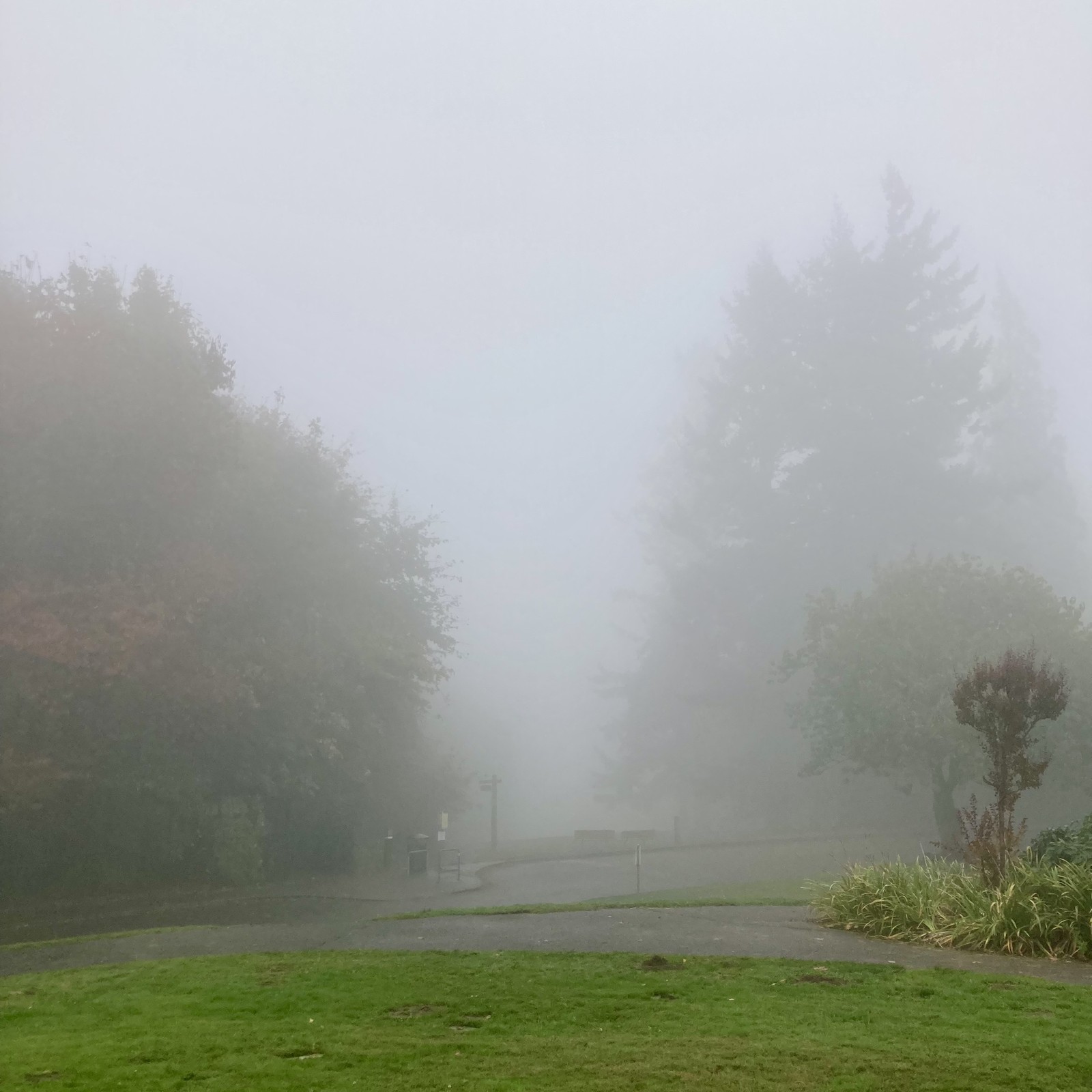 Just a blank wall of gray