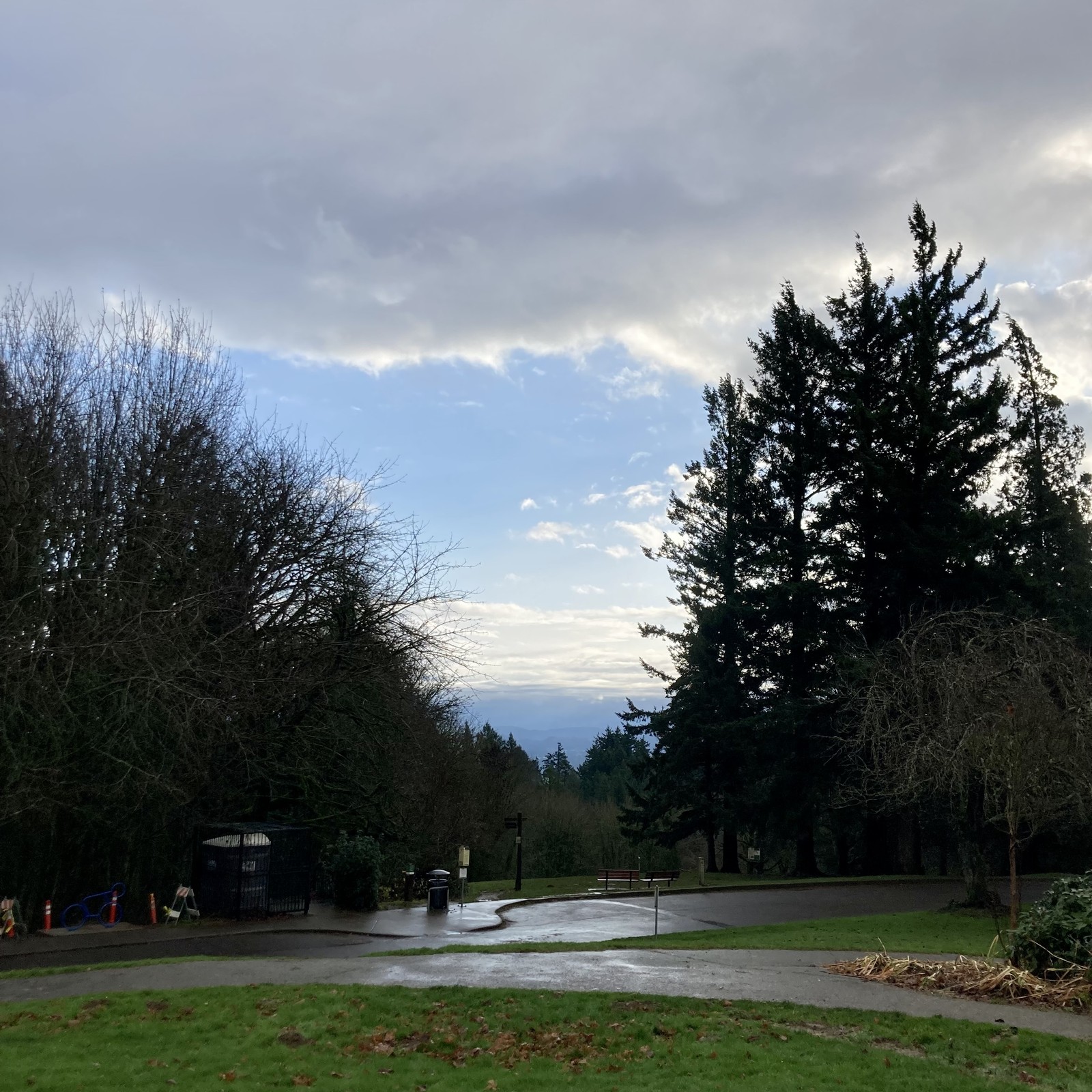 A patch of blue sky between two wet, heavy clouds. Weather warmish damp and blustery. Trees and grass brilliant green.