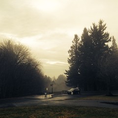 View from Council Crest toward Mt. Hood, which is NOT visible