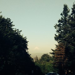 View from Council Crest toward Mt. Hood, which is visible