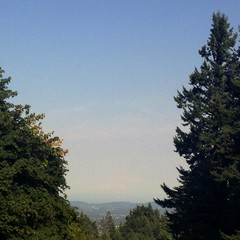 View from Council Crest toward Mt. Hood, which is visible