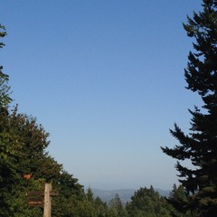 View from Council Crest toward Mt. Hood, which is visible