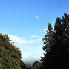 View from Council Crest toward Mt. Hood, which is visible