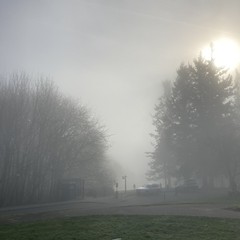 View from Council Crest toward Mt. Hood, which is NOT visible