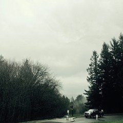 View from Council Crest toward Mt. Hood, which is NOT visible