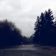 View from Council Crest toward Mt. Hood, which is NOT visible