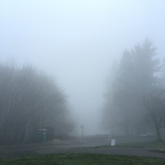 View from Council Crest toward Mt. Hood, which is NOT visible