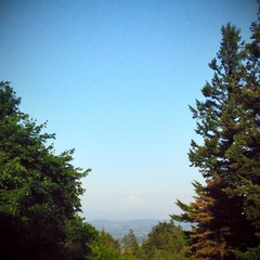 View from Council Crest toward Mt. Hood, which is visible