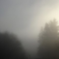 View from Council Crest toward Mt. Hood, which is NOT visible