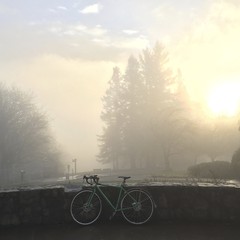 View from Council Crest toward Mt. Hood, which is NOT visible