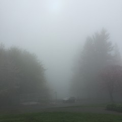 View from Council Crest toward Mt. Hood, which is NOT visible