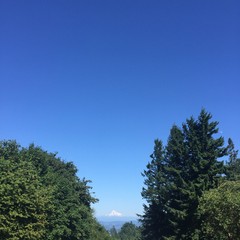 View from Council Crest toward Mt. Hood, which is visible