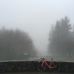 View from Council Crest toward Mt. Hood, which is NOT visible