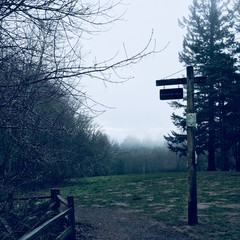 View from Council Crest toward Mt. Hood, which is NOT visible