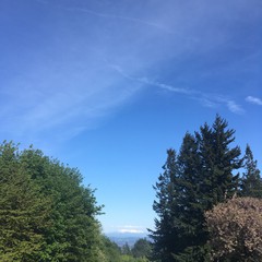 View from Council Crest toward Mt. Hood, which is visible