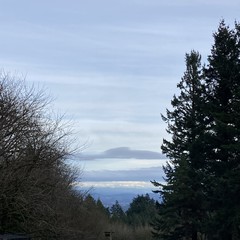 View from Council Crest toward Mt. Hood, which is NOT visible