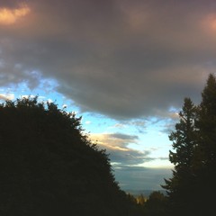 View from Council Crest toward Mt. Hood, which is NOT visible