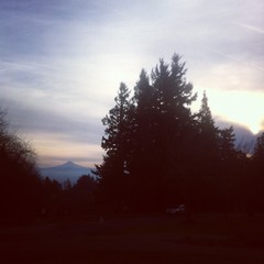 View from Council Crest toward Mt. Hood, which is visible