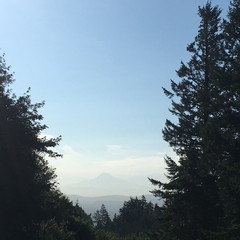 View from Council Crest toward Mt. Hood, which is visible