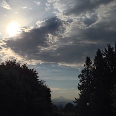 View from Council Crest toward Mt. Hood, which is visible