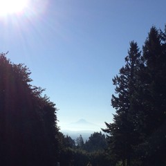 View from Council Crest toward Mt. Hood, which is visible