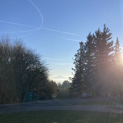 View from Council Crest toward Mt. Hood, which is visible