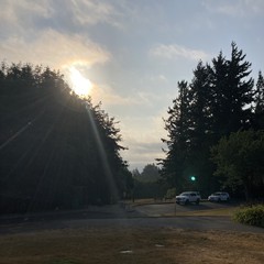 View from Council Crest toward Mt. Hood, which is NOT visible