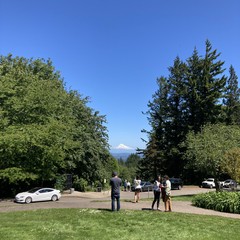 Absolutely the best kind of day. Several people in small groups are taking pictures of the snowy mountain and each other, under a deep blue sky