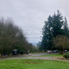 Snowline visible under a high deck of silvery clouds