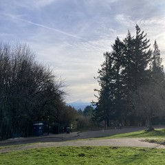 View from Council Crest toward Mt. Hood, which is visible