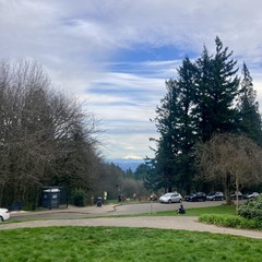 Lenticular cloud glowing over the mountain today. Lots of people and dogs enjoying the unseasonably warm weather