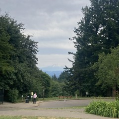 Weirdly gray and still afternoon. High deck, mountain visible