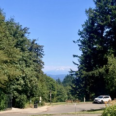 View from Council Crest toward Mt. Hood, which is visible