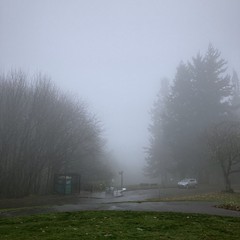 View from Council Crest toward Mt. Hood, which is NOT visible